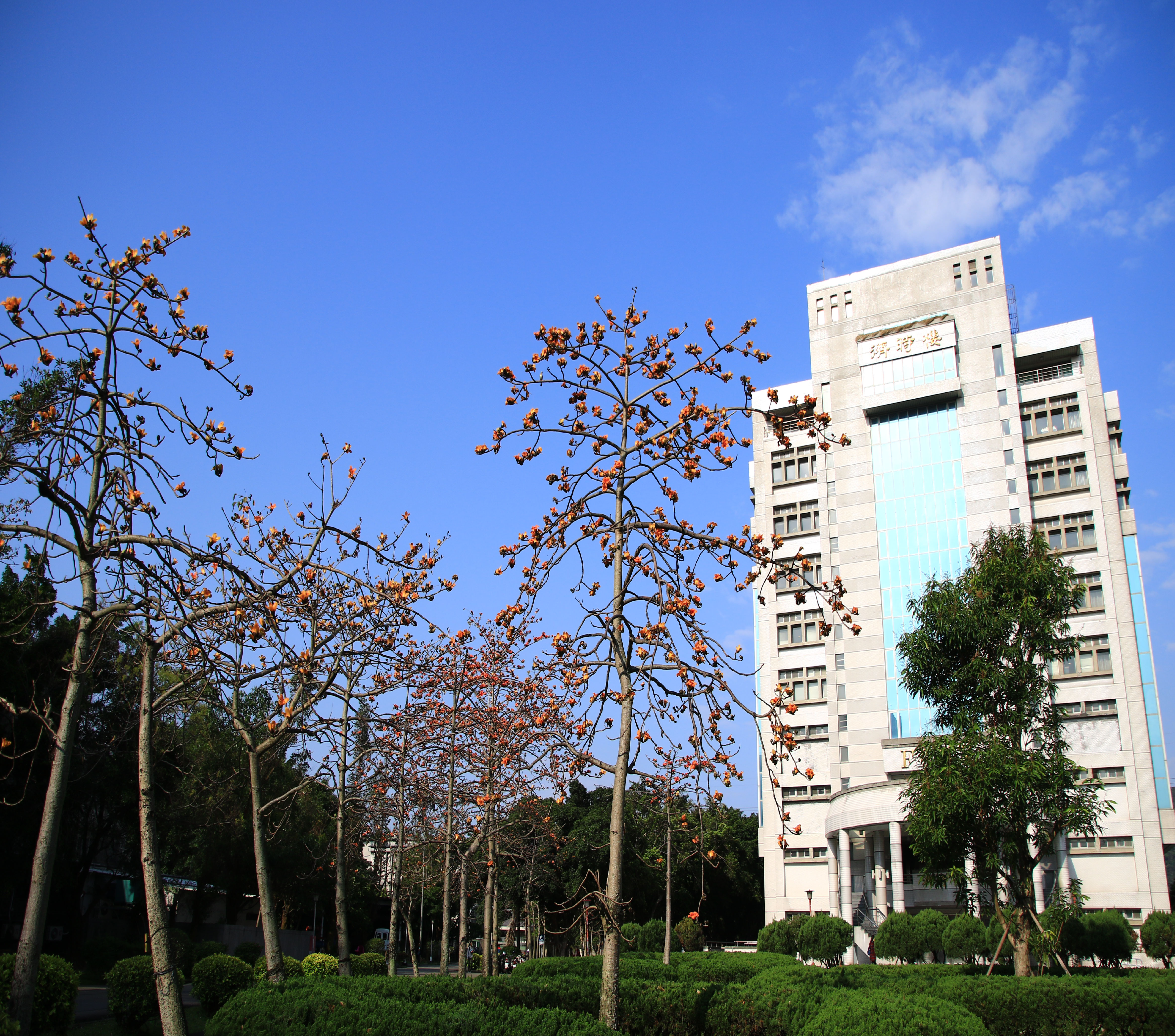 輔仁大學稽核室